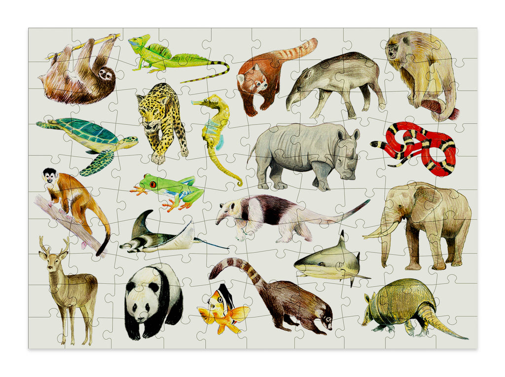 Animals 100 Piece Jigsaw Puzzles for Kids