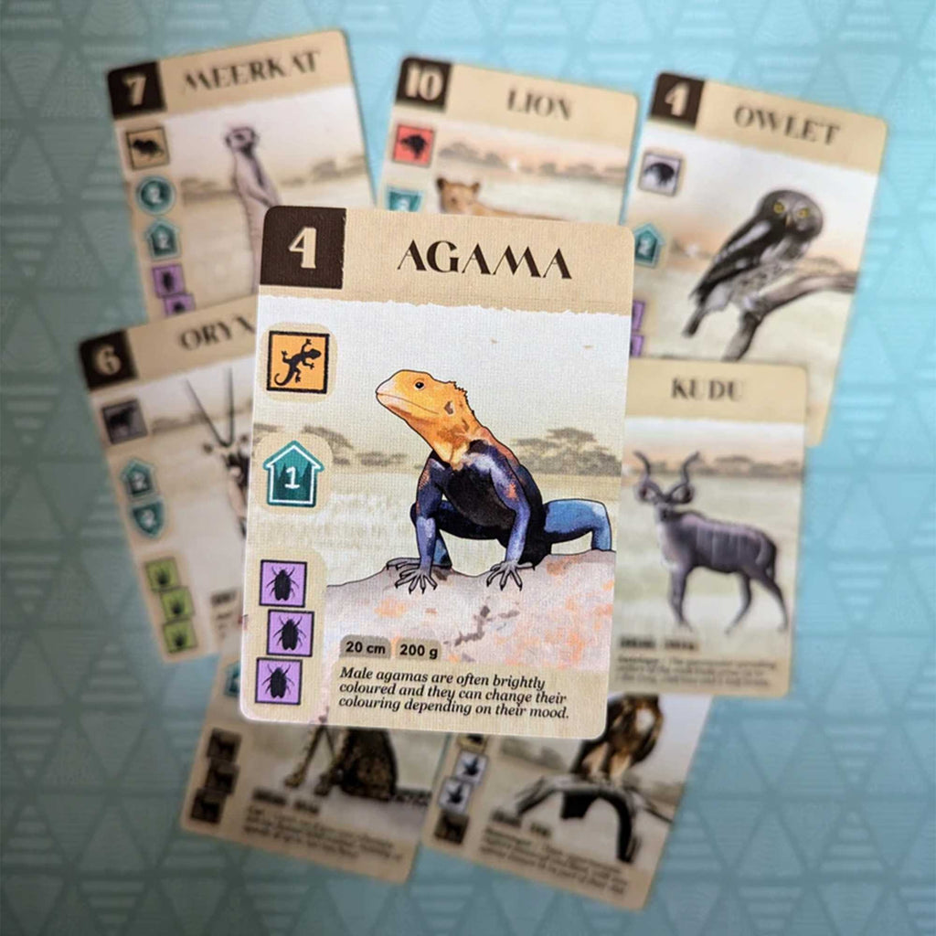Card featuring an agama lizard on a textured blue background with other animal cards.