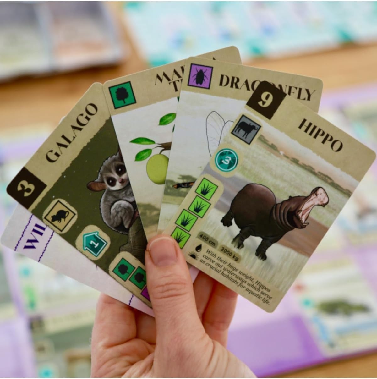 Hand holding animal-themed cards with various animals on a blurred background