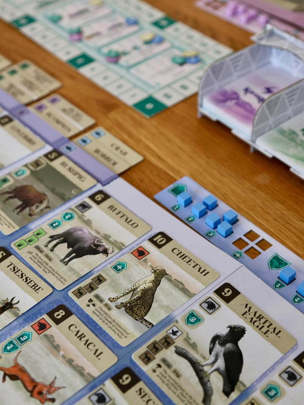 Board game with animal cards and dice on a wooden table
