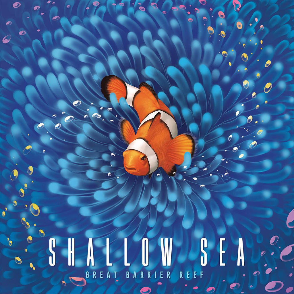 Shallow Sea game components showing coral, fish and sea life tiles