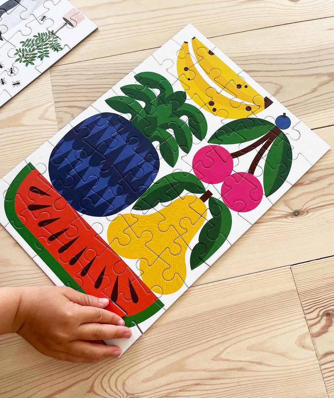 Fruit 50 Piece Jigsaw Puzzles for Kids
