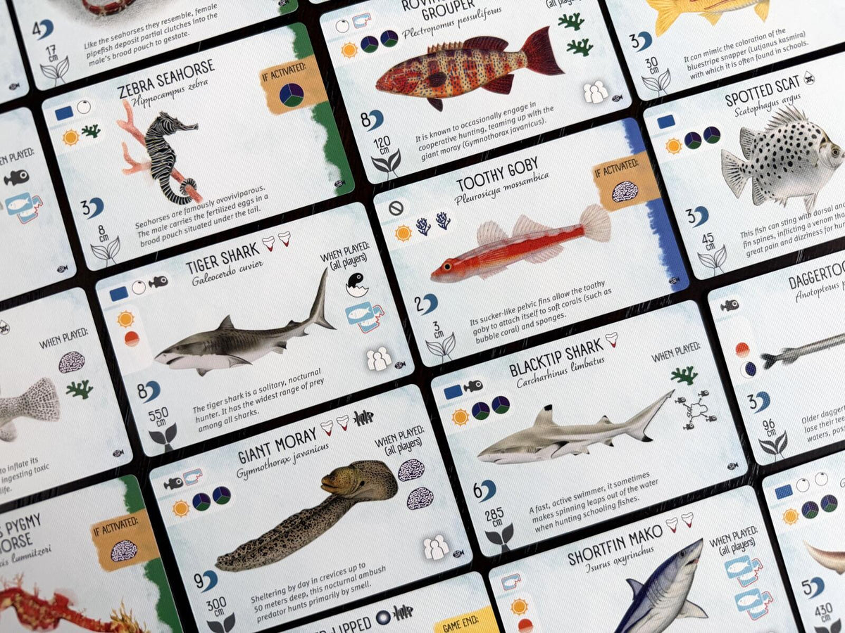 Finspan: Sharks & Reefs Expansion