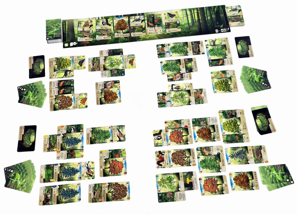 Collection of nature-themed cards arranged on a white background
